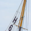 15 bw 0354