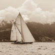 13 yacht ElfeII 0087