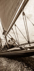 13 yacht ElfeII 0186