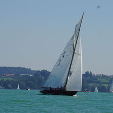 DSC02634