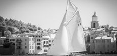 DSC8131