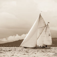 13 yacht ElfeII 0056