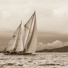 13 yacht ElfeII 0117