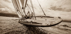 13 yacht ElfeII 0222