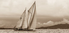 13 yacht ElfeII 0117