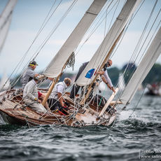 17 Bodenseewoche 0513