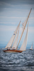 17 Bodenseewoche 1886