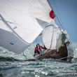 17 ycl classic 1447