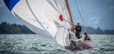 17 ycl classic 1433