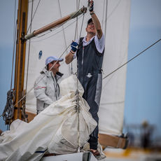 17 ycl classic 2201