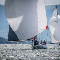17 ycl classic 0603